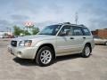 Champagne Gold Opalescent 2005 Subaru Forester 2.5 XS Exterior