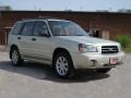 Champagne Gold Opalescent - Forester 2.5 XS Photo No. 7