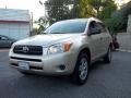 Savannah Metallic - RAV4 4WD Photo No. 4