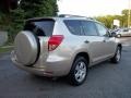 Savannah Metallic - RAV4 4WD Photo No. 9