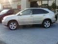 Savannah Beige Metallic - RX 330 AWD Photo No. 7