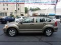 Light Khaki Metallic - Caliber SE Photo No. 2