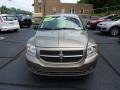 Light Khaki Metallic - Caliber SE Photo No. 11