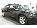 Brilliant Black Crystal Pearl - Charger SE Photo No. 9