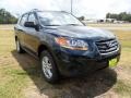 2011 Pacific Blue Pearl Hyundai Santa Fe GLS  photo #1