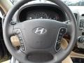 Beige Steering Wheel Photo for 2011 Hyundai Santa Fe #50761584