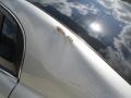 Sheer Silver Metallic - Altima 2.5 SL Photo No. 26
