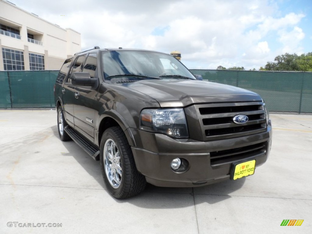 Stone Green Metallic 2008 Ford Expedition Limited Exterior Photo #50767782