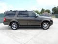  2008 Expedition Limited Stone Green Metallic