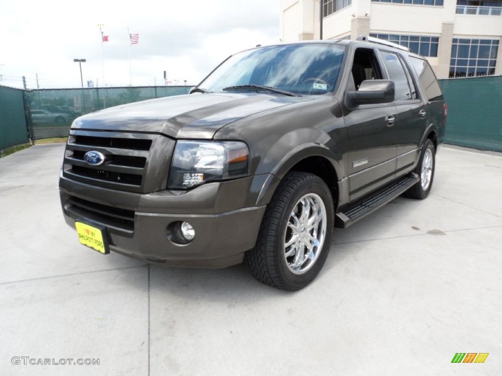Stone Green Metallic 2008 Ford Expedition Limited Exterior Photo #50767800
