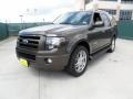 Stone Green Metallic 2008 Ford Expedition Limited Exterior