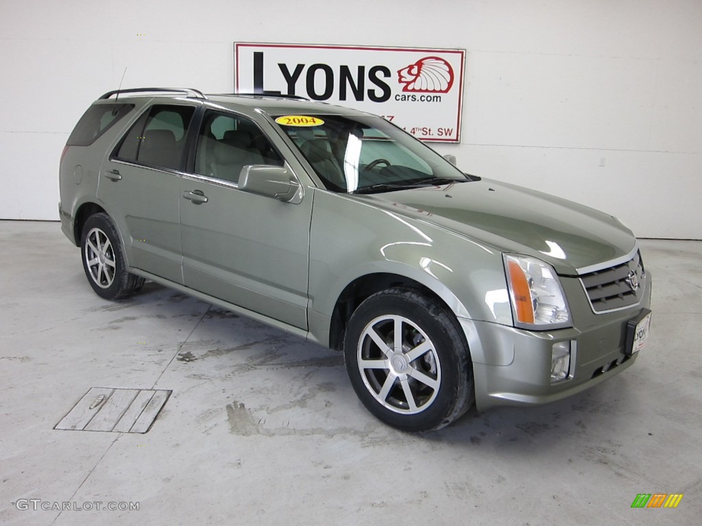 2004 SRX V8 - Silver Green Metallic / Light Neutral photo #25