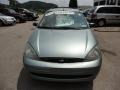 Light Tundra Metallic - Focus ZTW Wagon Photo No. 3