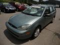 Light Tundra Metallic - Focus ZTW Wagon Photo No. 4