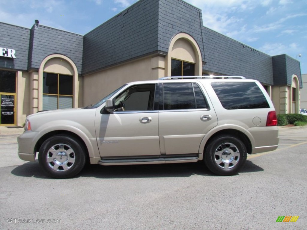 Light French Silk Metallic 2005 Lincoln Navigator Ultimate Exterior Photo #50775069