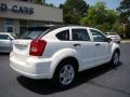 Stone White - Caliber SXT Photo No. 8