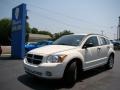 Stone White - Caliber SXT Photo No. 31