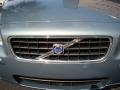 Platinum Green Metallic - S60 2.5T Photo No. 41