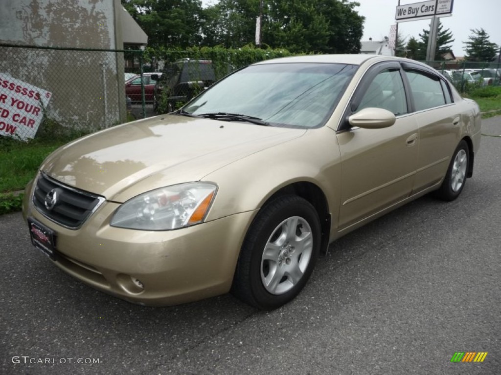 2002 Nissan altima colors