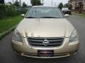 Velvet Beige - Altima 2.5 S Photo No. 12