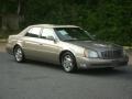 Bronzemist - DeVille Sedan Photo No. 4