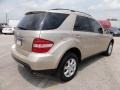 Desert Silver Metallic - ML 350 4Matic Photo No. 8