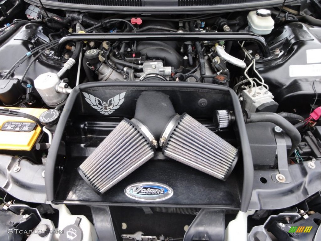 2002 Pontiac Firebird Trans Am Coupe 5.7 Liter OHV 16-Valve LS1 V8 Engine Photo #50792280
