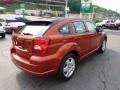 2009 Sunburst Orange Pearl Dodge Caliber SXT  photo #5