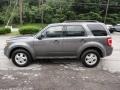 2010 Sterling Grey Metallic Ford Escape XLT  photo #4