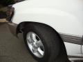 Natural White - Land Cruiser  Photo No. 3