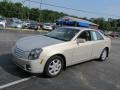Gold Mist - CTS Sedan Photo No. 5