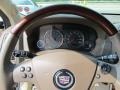 Gold Mist - CTS Sedan Photo No. 16