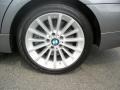 2011 BMW 3 Series 335i xDrive Sedan Wheel and Tire Photo