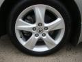 Palladium Metallic - TSX Sedan Photo No. 17