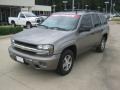 Graystone Metallic - TrailBlazer LS Photo No. 1