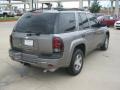Graystone Metallic - TrailBlazer LS Photo No. 5
