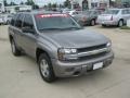 Graystone Metallic - TrailBlazer LS Photo No. 7