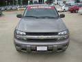 Graystone Metallic - TrailBlazer LS Photo No. 8