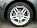 Polished Metal Metallic - TL 3.2 Photo No. 31
