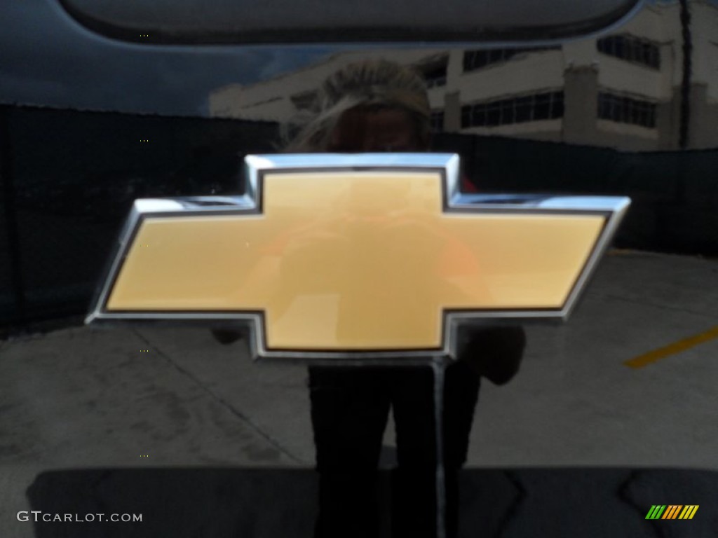 2008 Chevrolet Silverado 1500 Work Truck Regular Cab 4x4 Marks and Logos Photo #50815887