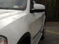 Alpine White - X5 xDrive48i Photo No. 8