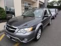 2009 Diamond Gray Metallic Subaru Outback 2.5i Special Edition Wagon  photo #1