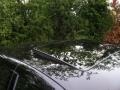 Black - S 430 Sedan Photo No. 19