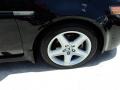 Nighthawk Black Pearl - TL 3.2 Photo No. 3