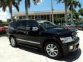 Liquid Onyx Black - QX 56 Photo No. 1