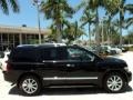 Liquid Onyx Black - QX 56 Photo No. 5