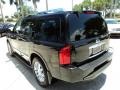 Liquid Onyx Black - QX 56 Photo No. 9
