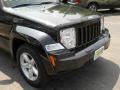 2009 Brilliant Black Crystal Pearl Jeep Liberty Rocky Mountain Edition 4x4  photo #16