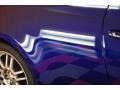 Blue Ribbon Metallic - tC  Photo No. 27