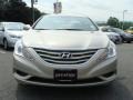 Camel Pearl - Sonata GLS Photo No. 2